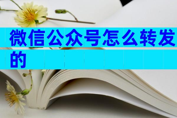微信公众号怎么转发的