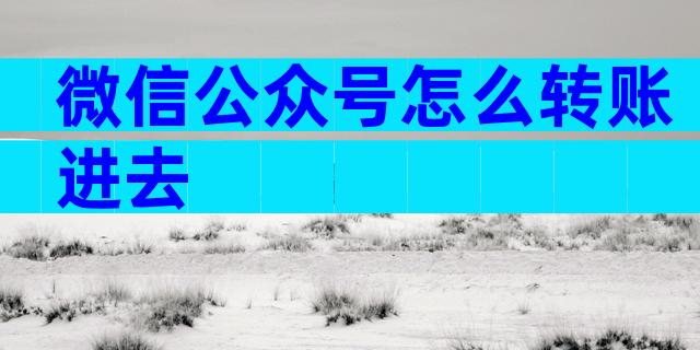 微信公众号怎么转账进去