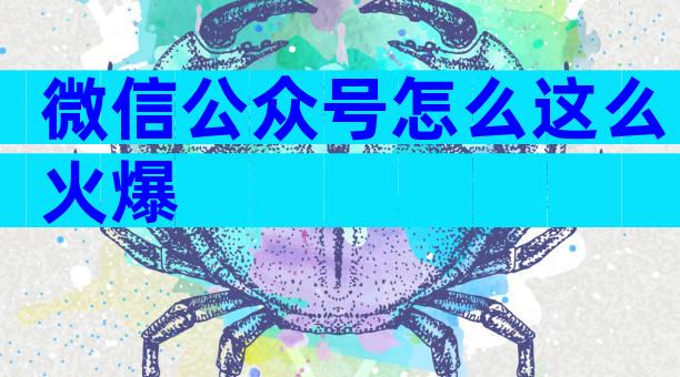微信公众号怎么这么火爆