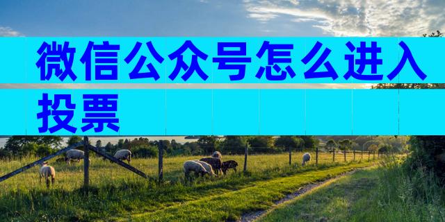 微信公众号怎么进入投票