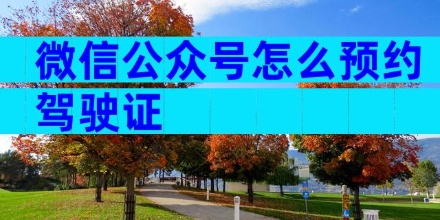 微信公众号怎么预约驾驶证