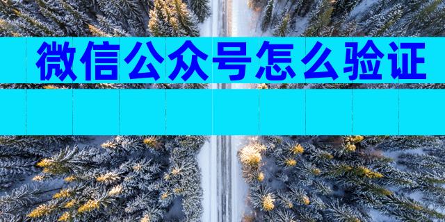 微信公众号怎么验证