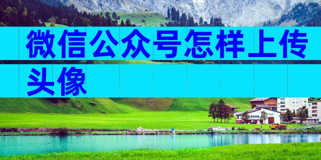 微信公众号怎样上传头像