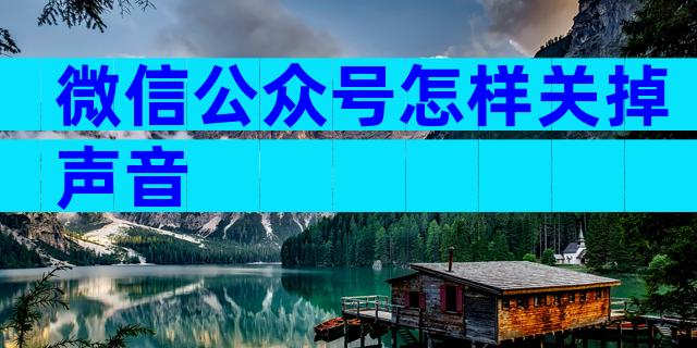微信公众号怎样关掉声音