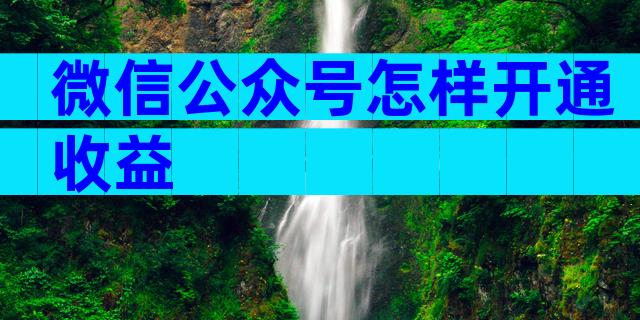微信公众号怎样开通收益