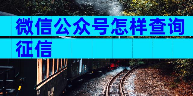 微信公众号怎样查询征信