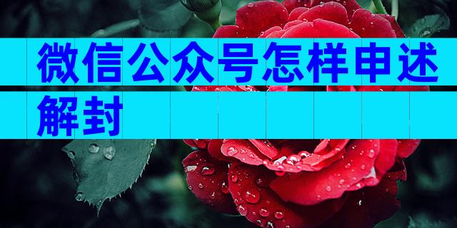 微信公众号怎样申述解封
