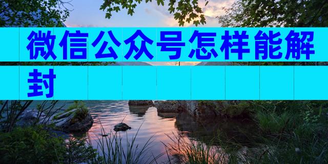 微信公众号怎样能解封
