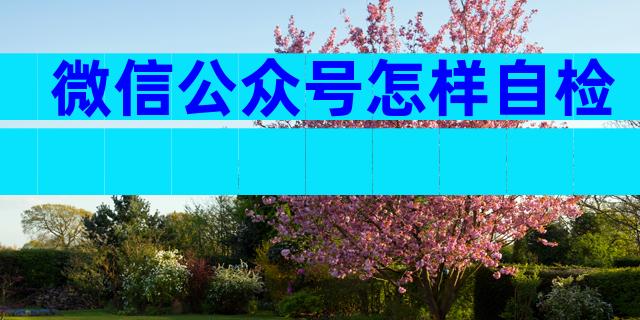 微信公众号怎样自检