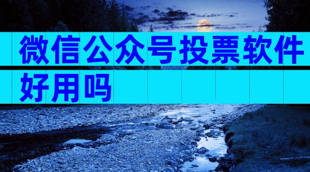 微信公众号投票软件好用吗