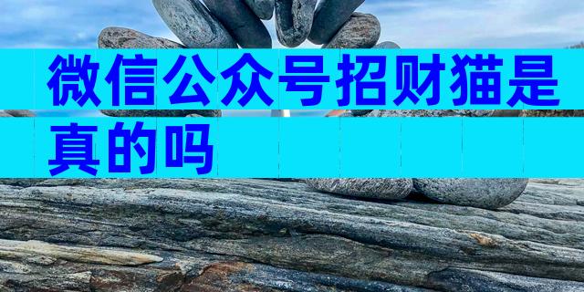 微信公众号招财猫是真的吗