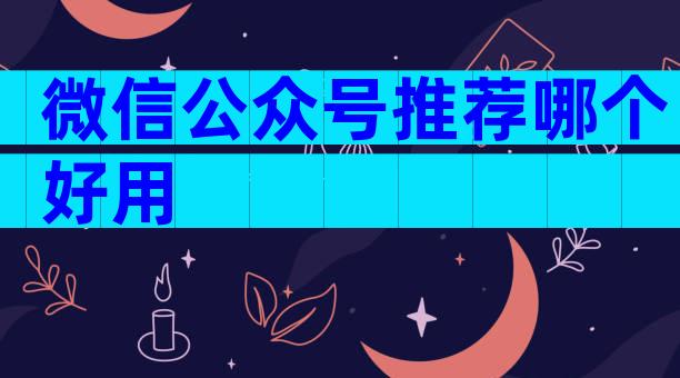 微信公众号推荐哪个好用