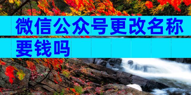微信公众号更改名称要钱吗