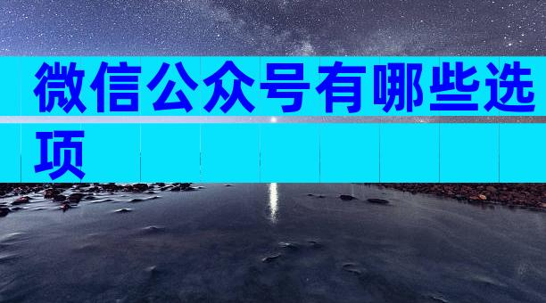 微信公众号有哪些选项