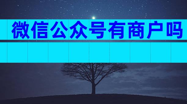 微信公众号有商户吗
