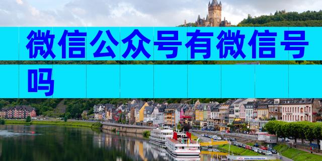 微信公众号有微信号吗