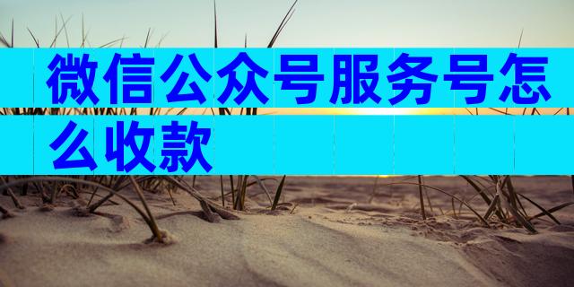微信公众号服务号怎么收款
