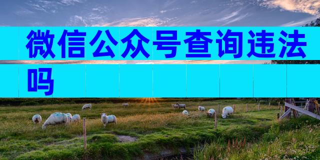 微信公众号查询违法吗