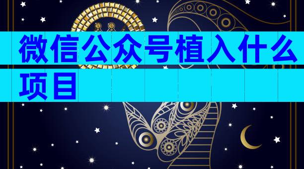 微信公众号植入什么项目