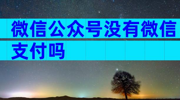 微信公众号没有微信支付吗
