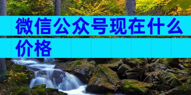 微信公众号现在什么价格