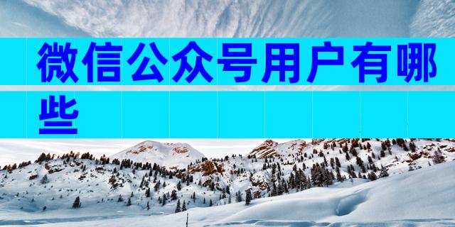 微信公众号用户有哪些