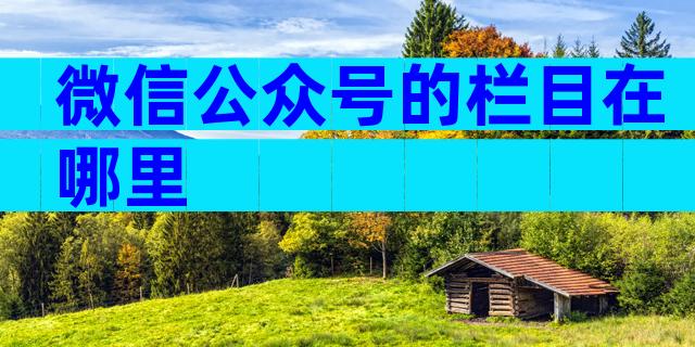 微信公众号的栏目在哪里