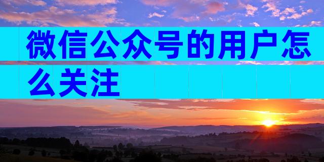 微信公众号的用户怎么关注