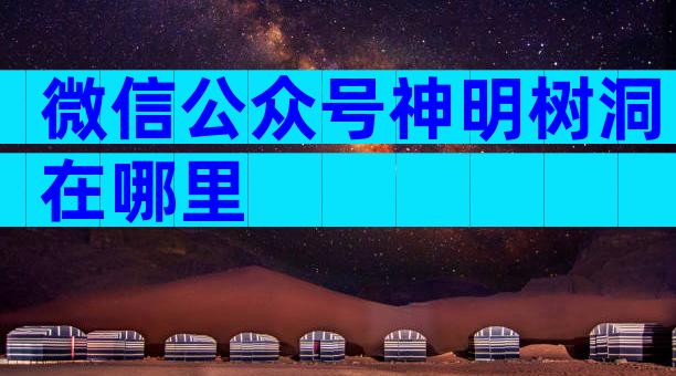 微信公众号神明树洞在哪里