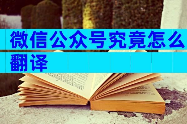 微信公众号究竟怎么翻译