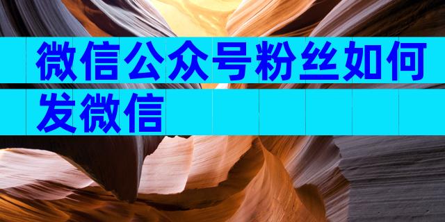 微信公众号粉丝如何发微信