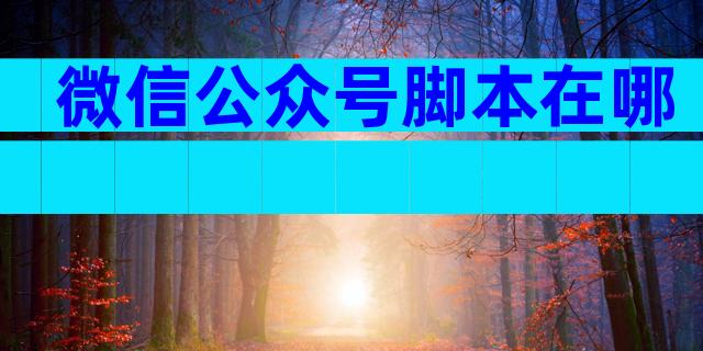 微信公众号脚本在哪