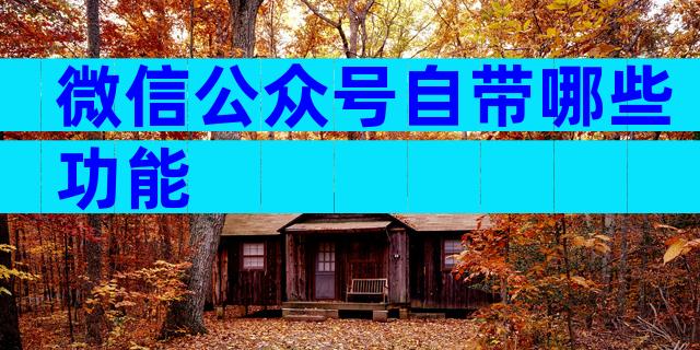 微信公众号自带哪些功能