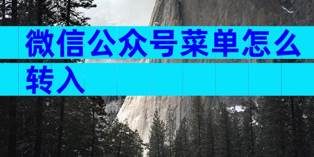微信公众号菜单怎么转入