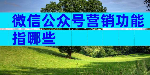 微信公众号营销功能指哪些