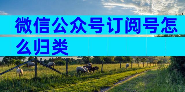 微信公众号订阅号怎么归类