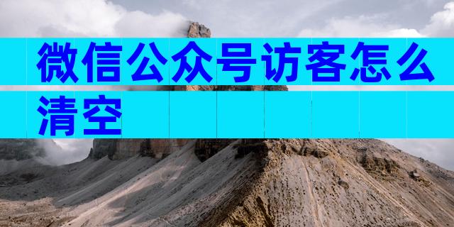 微信公众号访客怎么清空