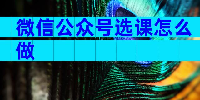 微信公众号选课怎么做