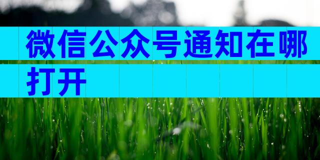 微信公众号通知在哪打开