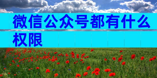 微信公众号都有什么权限