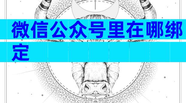 微信公众号里在哪绑定