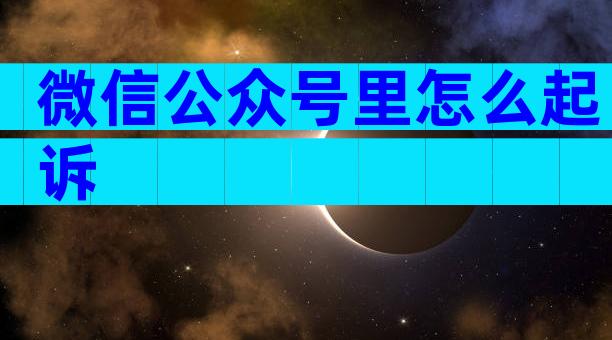 微信公众号里怎么起诉