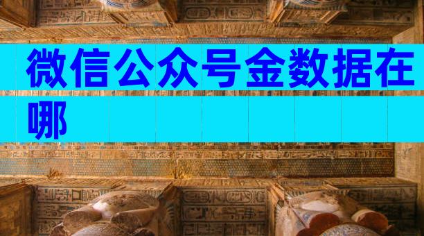 微信公众号金数据在哪