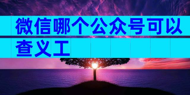 微信哪个公众号可以查义工