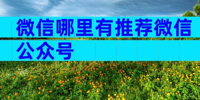微信哪里有推荐微信公众号