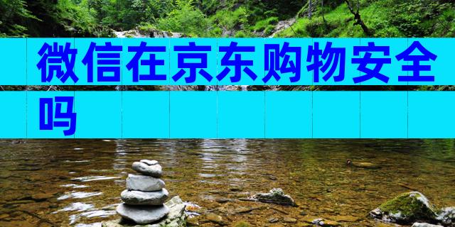微信在京东购物安全吗