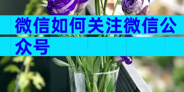 微信如何关注微信公众号