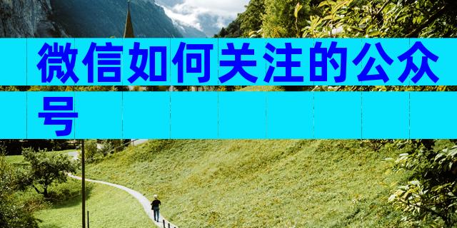 微信如何关注的公众号