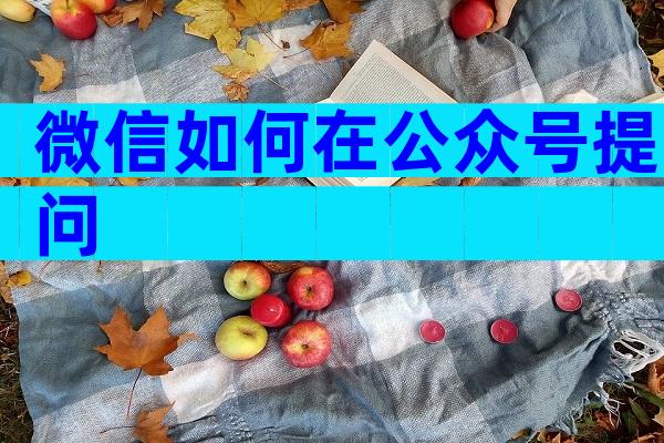 微信如何在公众号提问