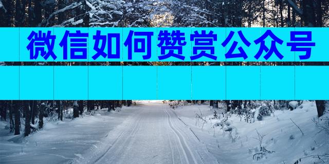 微信如何赞赏公众号